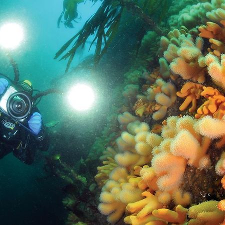 Gulen Dive Resort Dalsoyra Екстер'єр фото