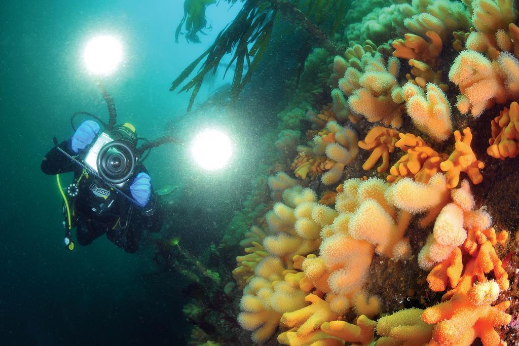 Gulen Dive Resort Dalsoyra Екстер'єр фото